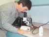 Using a Microscope